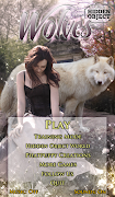 Hidden Object - Wolves Free Plakat
