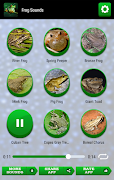 برنامه‌نما Frog Sounds عکس از صفحه
