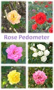 Flower Pedometer 3 poster