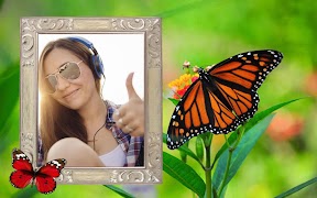 Mariposa Marcos y collages captura de pantalla 5