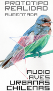 Aves de Chile AR poster