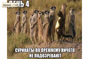 Find The Cat capture d'écran 5