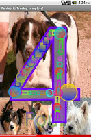 Count Dogs 1-10 FREE screenshot 3
