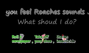 Roaches! screenshot 1