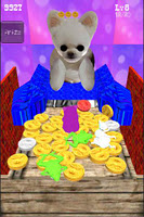 Coin Dog 포스터