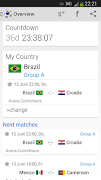 پوستر Brazil Cup 2014