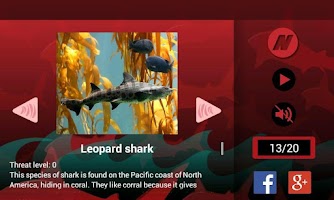 Best Sharks ภาพหน้าจอ 1