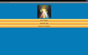 Divine Mercy Prayers screenshot 5