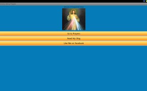 برنامه‌نما Divine Mercy Prayers عکس از صفحه