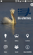 Poster BirdWING
