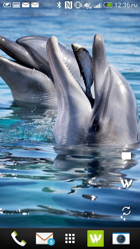 Walle - HD Wallpapers Streamed APK download