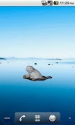 Beluga Sticker Cartaz