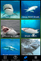 Shark Revenge Attack screenshot 2