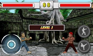 Rogue Fighting ภาพหน้าจอ 1