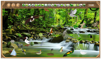 Rain Forest Hidden Objects screenshot 2