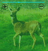 Night Vision Camera screenshot 1