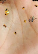 Ant Killer スクリーンショット 7