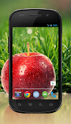 Transparent Screen captura de pantalla 2