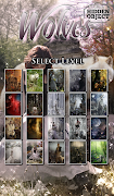 Hidden Object - Wolves Free imagem de tela 2