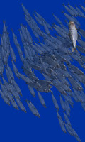 Fish swarm Live Wallpaper FREE poster