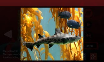 Tiburones captura de pantalla 2