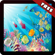 Animal Memory poster