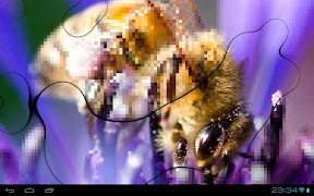 Bubble Frame imagem de tela 3