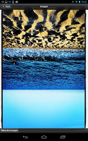 Flickr Search اسکرین شاٹ 4