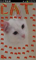 Snap, Decorate Christmas screenshot 7