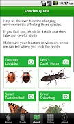 Bugs Count Ekran Görüntüsü 3