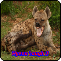 Hyena Soundboards screenshot 6