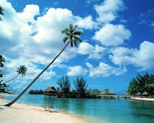 Maldives Live wallpaper Free screenshot 5