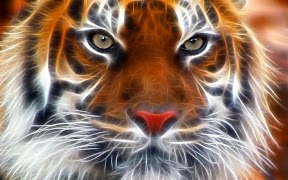 3D Tigers Poster