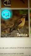 Aves de Chile AR screenshot 4