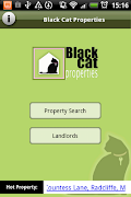 Black Cat Properties poster