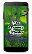 The Memory Master poster