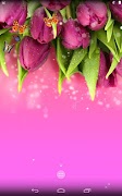برنامه‌نما Tulips عکس از صفحه