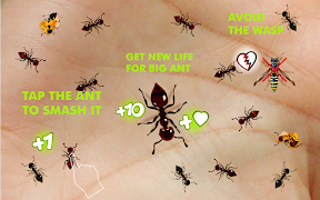 برنامه‌نما Ant Killer عکس از صفحه