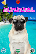 Talking Pug Plakat