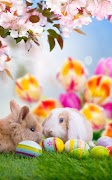 Easter Live Wallpaper 스크린샷 5