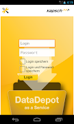 Poster Kapsch DataDepot
