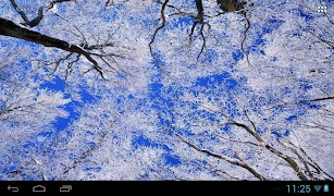 Snowfall स्क्रीनशॉट 6