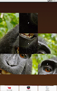 Monkey Puzzle ภาพหน้าจอ 5