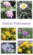 Flower Pedometer-poster