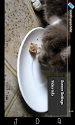 Continuous Playback YouTube screenshot 5