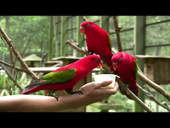 Video Touch Lite স্ক্রিনশট 7