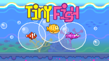 Poster Tiny Fish