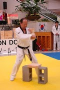 Taekwondo Forms Screenshot 2