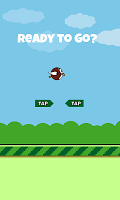 Clumsy Owl screenshot 3