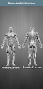 Muscle Buddy पोस्टर